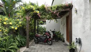 8 Cara Membuat Teras Lebih Teduh Menggunakan Kombinasi Tanaman Rambat dan Pergola