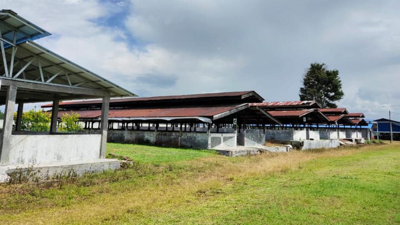 Peternakan Babi. Dok Kementan