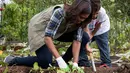 Ibu negara AS Michelle Obama bersama anak sekolah terlihat serius mengambil ubi jalar saat acara memanen ubi jalar di kebun Gedung Putih, Washington, (6/10). (AFP Photo/Jim Watson)