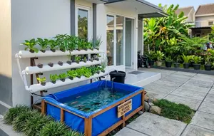 7 Cara Membuat Aquaponik Sederhana dari Kolam Terpal, Praktis untuk Pemula