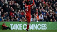 Daniel Sturridge (AFP/Oli Scarff)
