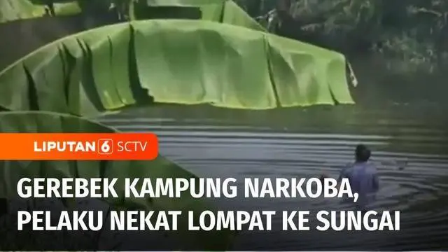 Satuan Narkoba Polres Pelabuhan Belawan menggerebek kampung narkoba di Desa Pematang Johar, Deli Serdang, Sumatera Utara. Saat dilakukan penggeledahan, salah seorang terduga pengguna narkoba melarikan diri hingga melompat ke sungai.