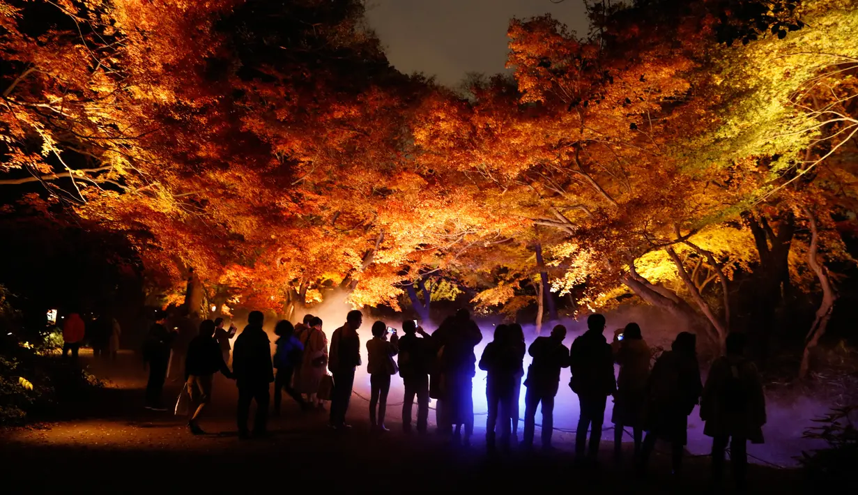 Wisatawan memotret pepohonan saat musim gugur di Taman Rikugien, Distrik Bunkyo, Tokyo, Jepang, Selasa (10/12/2019). Saat musim gugur, banyak wisatawan mengikuti 'ritual’ momijigari atau saat-saat menyaksikan dedaunan berubah warna dari hijau ke kuning, merah, dan cokelat. (AP Photo/Jae C. Hong)