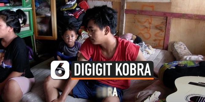 VIDEO: Korban Banjir Digigit Kobra