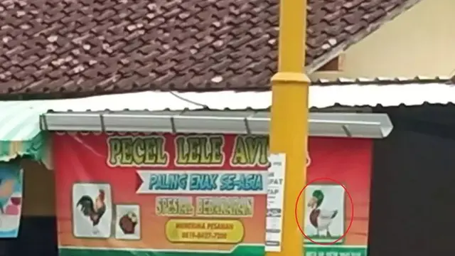 6 Nama Warung Pecel Lele Nyeleneh Ini Bikin Pembeli Tepuk Jidat
