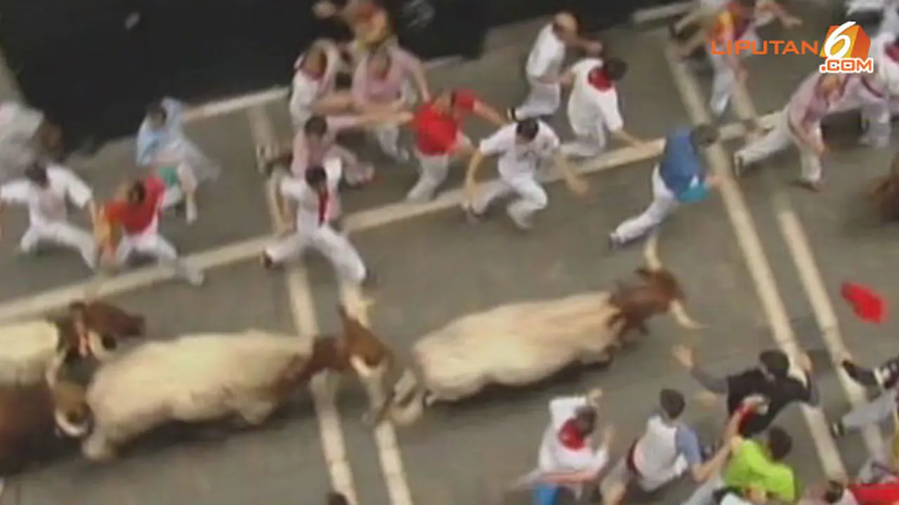 lari-banteng-130713d.jpg