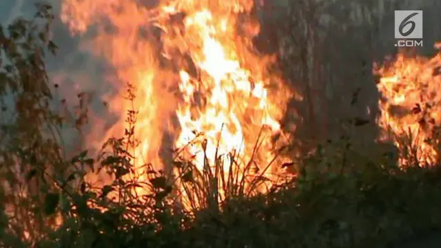 VIDEO: Rekaman Kebakaran Hutan di Perbukitan Samosir