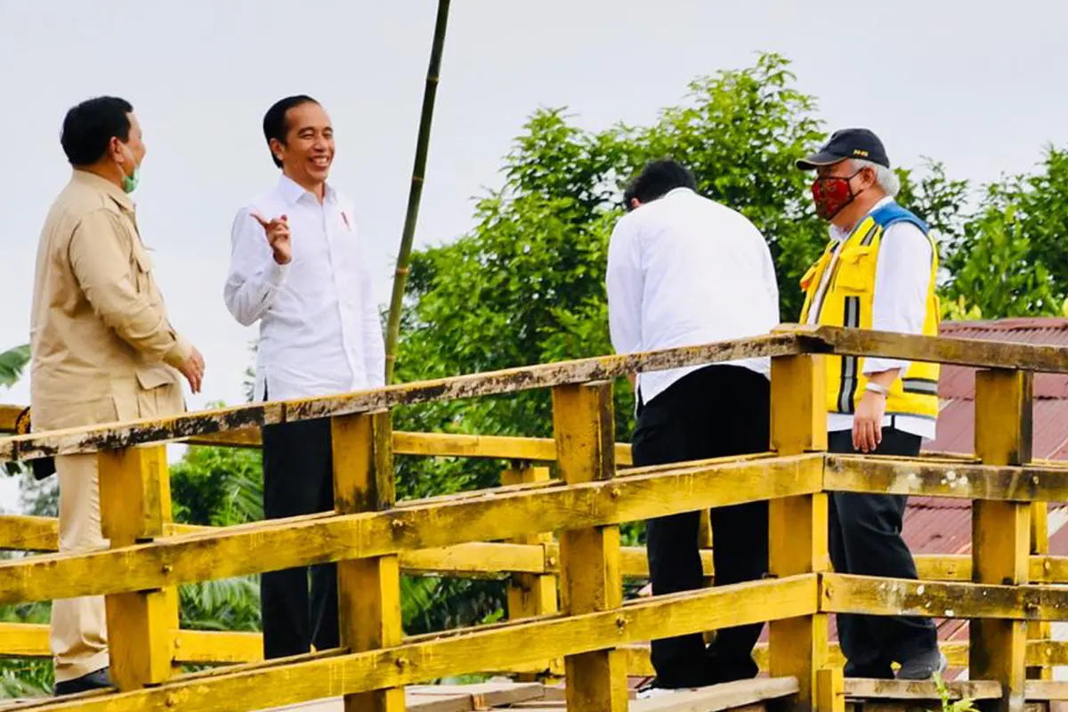 Presiden Jokowi Tinjau Lahan untuk Lambung Pangan Nasional