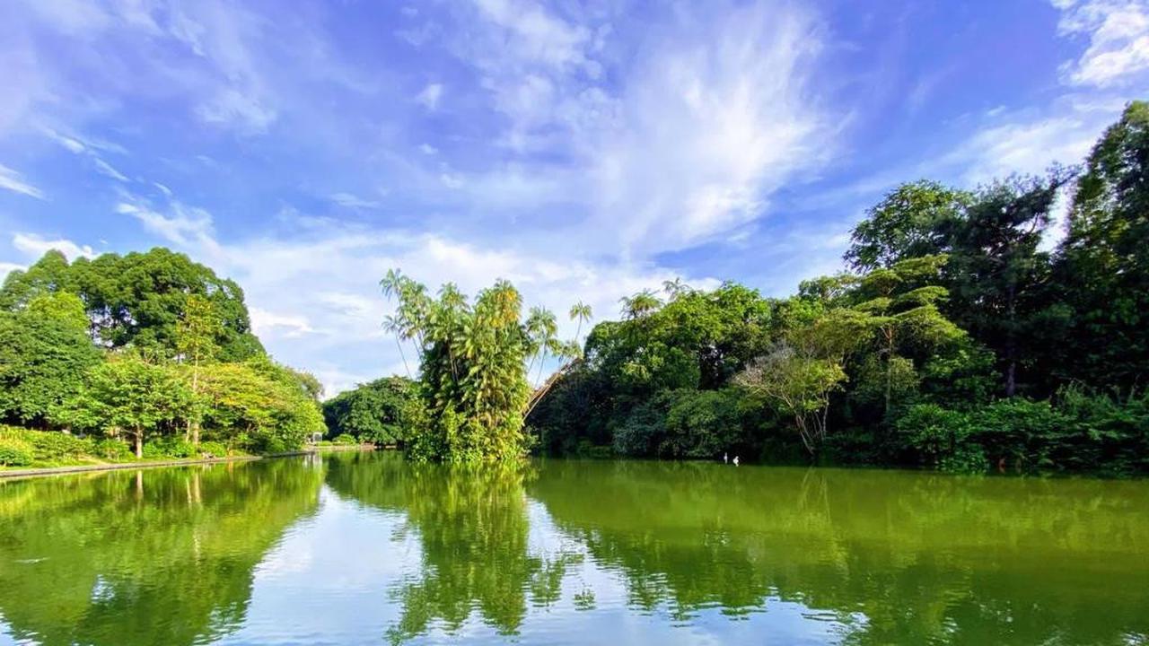 Kebun Raya Singapura Kini Punya Galeri Seni dan Koleksi Tanaman Langka