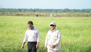 Menteri Pertanian Amran Sulaiman bersama Presiden Prabowo Subianto. Foto: Kementan