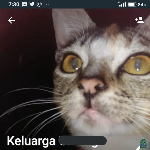 6 Foto Profil Grup WA Keluarga Ini Kocak, Setiap Chat Jadi Tahan Tawa