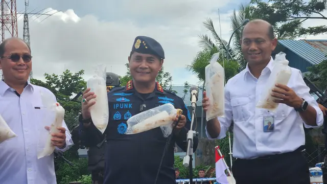 Dirjen PSDKP, Dr. Pung Nugroho Saksono memperlihatkan benih lobster dari sebuah kapal di dekat Pulau Bulam, Batam, Kepulauan Riau.