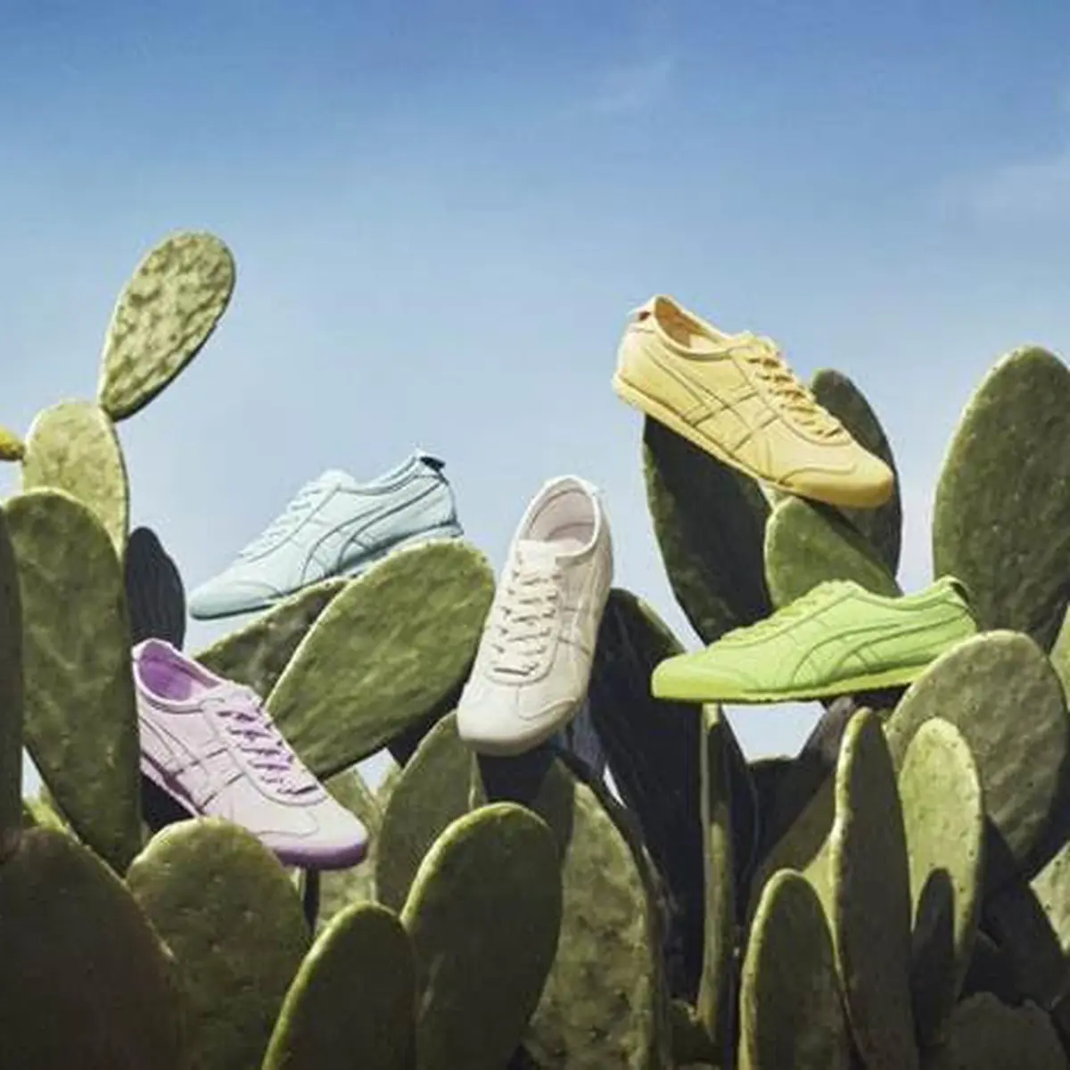 Onitsuka tiger top ecobember pack