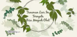 Tanaman Liar yang Bisa Menjadi Obat