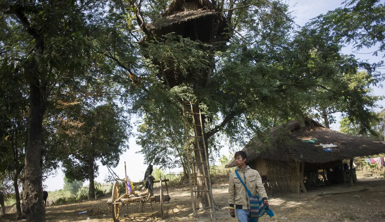 Warga melewati sebuah rumah pohon di desa Taik Kyi, Myanmar, 14 Januari 2016. Warga di desa ini terpaksa membuat rumah pohon untuk tempat berlindung dari kawanan gajah liar yang belakangan ini kerap menyerang desa Taik Kyi. (AFP PHOTO/Ye Aung THU)