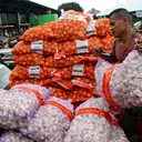 Mendag Pastikan Stok Bawang Putih Aman, Belum Ada Rencana Tambah Impor