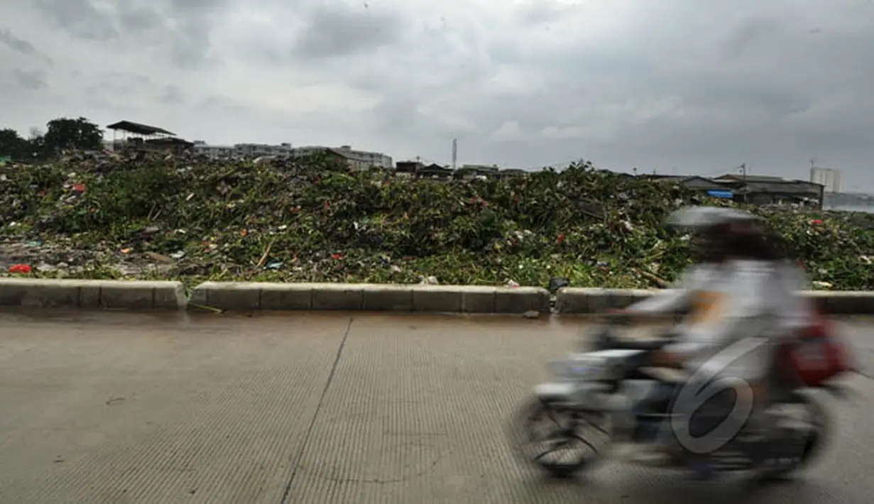 Tumpukan sampah bercampur dengan eceng gondok menggunung di Waduk Pluit, Jakarta, Jumat (13/2/2015). Sampah tersebut berasal dari warga sekitar.(Liputan6.com/Faizal Fanani)
