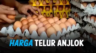 THUMBNAIL telur