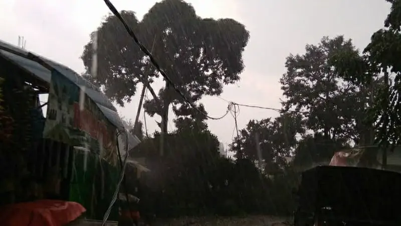 Pohon tumbang di Bogor, Sabtu (26/10/2019). (Liputan6.com/ Achmad Sudarno)