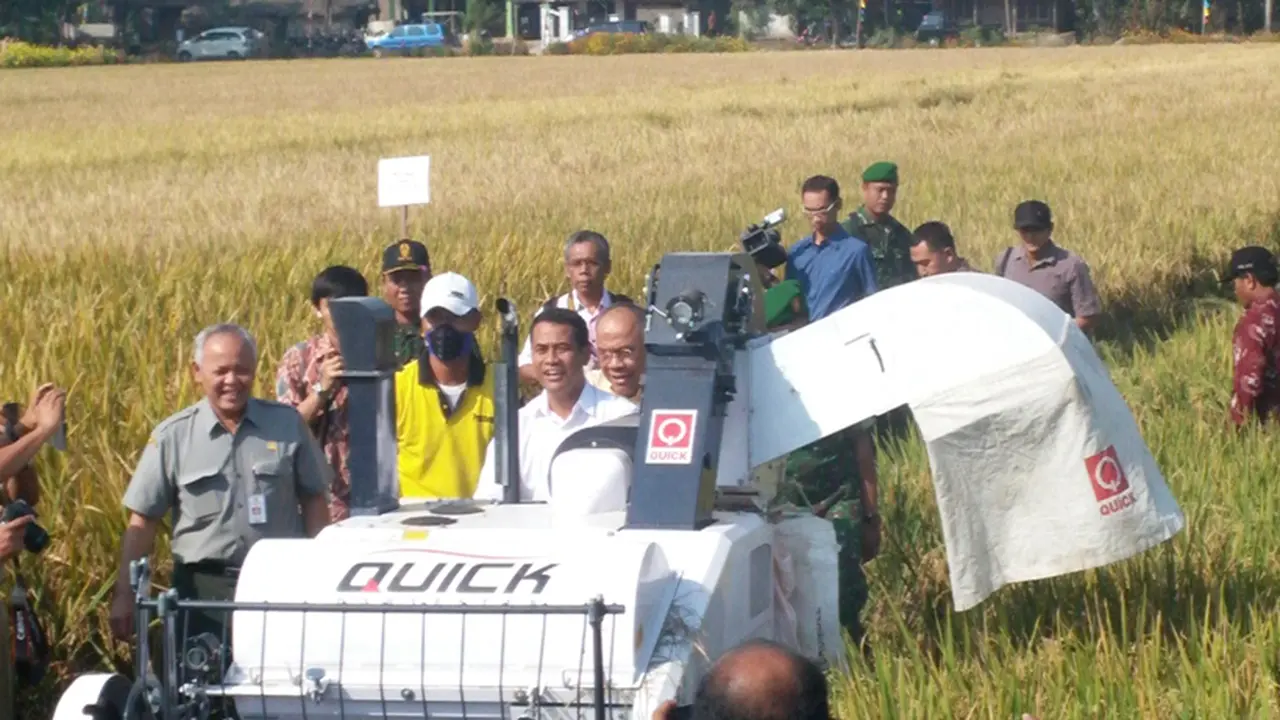 Mentan Amran Sulaiman melakukan panen padi perdana di Klaten, Jateng. (Septian Deny/Liputan6.com)