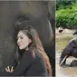 Potret kenangan Wulan Guritno bareng gajah Rahman, yang mati diracun untuk diambil gadingnya. (Sumber: Instagram/wulanguritno)