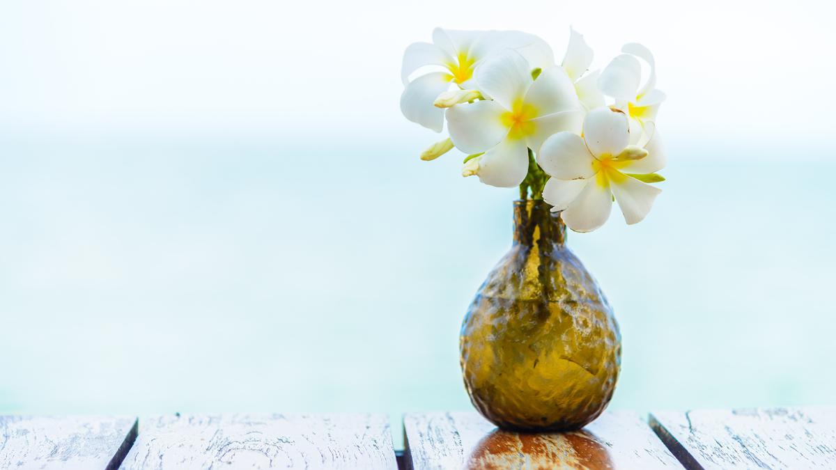 Cendana hingga Melati: Aroma Asli Indonesia yang Jadi Parfum Luxury
