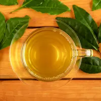 ilustrasi daun sirsak/YusufAslan/Shutterstock