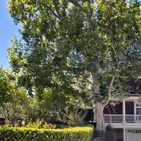 Rumah Channing Tatum. (Pursuitist)