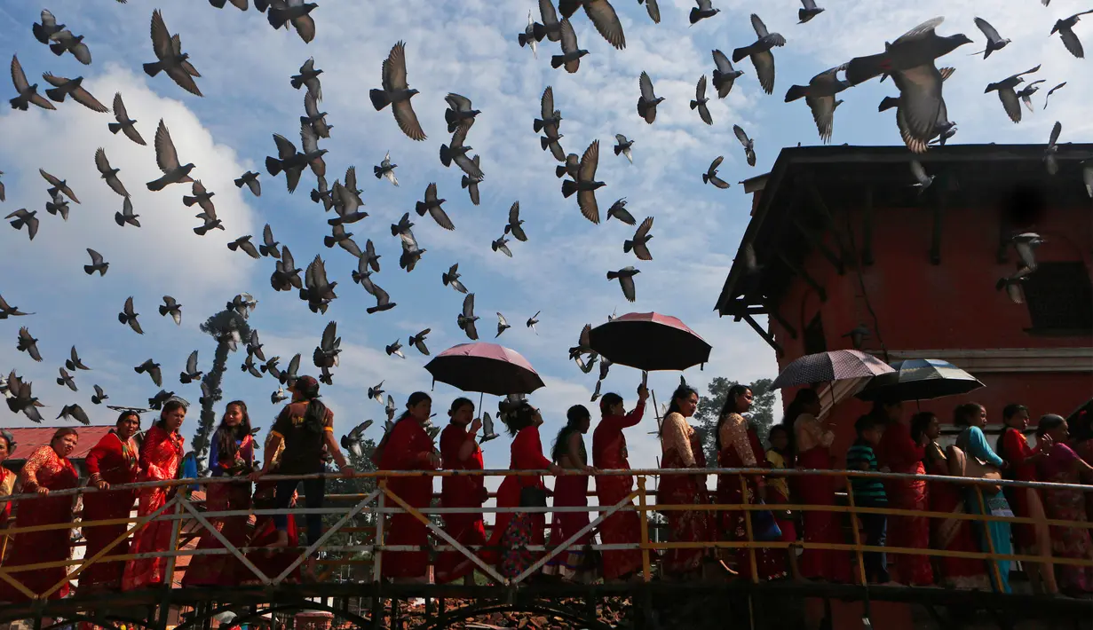 Kumpulan wanita Hindu Nepal berbaris memasuki kuil Pashupatinath untuk melakukan sembahyang saat festival Teej di Kathmandu, Nepal, Kamis (24/8). Festival Teej didedikasikan untuk Dewi Parwati sebagai pasangan Dewa Siwa. (Niranjan Shrestha/AP)
