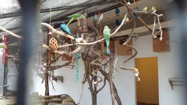 Foto: copyright oddee.com