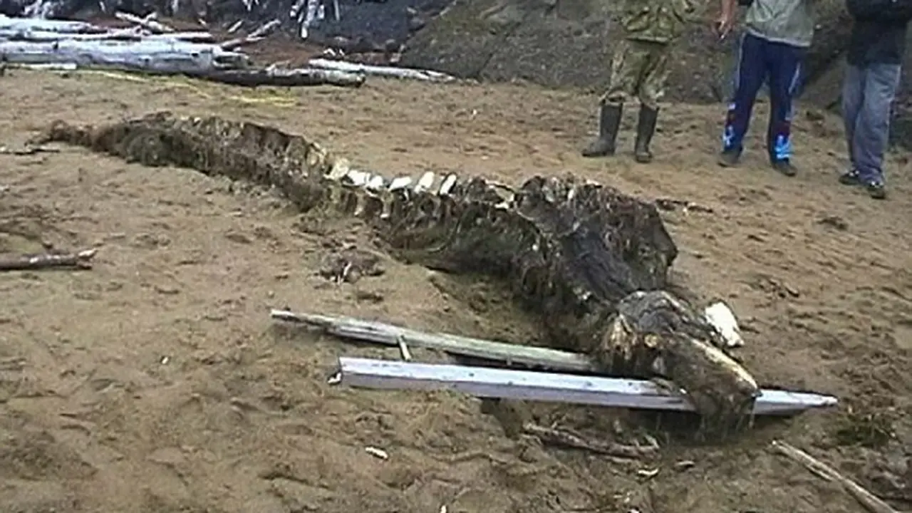 'Monster Laut' di Rusia. (Dailiy Mail)