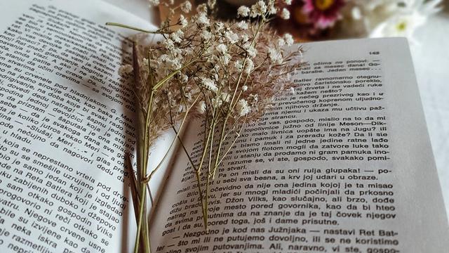 Ilustrasi kata bijak yang menginspirasi