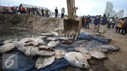 Petugas memusnahkan ikan laut yang mengandung formalin dengan cara dikubur di kawasan Pelabuhan Perikanan Muara Angke, Penjaringan, Jakarta Utara, Jumat (17/6). (Liputan6.com/Immanuel Antonius)
