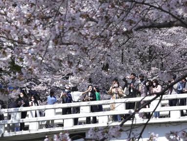 Orang-orang yang mengenakan masker sebagai tindakan pencegahan terhadap virus corona COVID-19 mengambil gambar bunga sakura yang mekar penuh di sebuah taman di Seoul, Korea Selatan, Jumat (8/4/2022). (AP Photo/Ahn Young-joon)