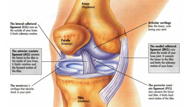 Cedera Ligamen ACL dan Rehabilitasinya