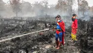 Klarifikasi Pemerintah Soal Bantuan Kebakaran Hutan Malaysia dan Jepang