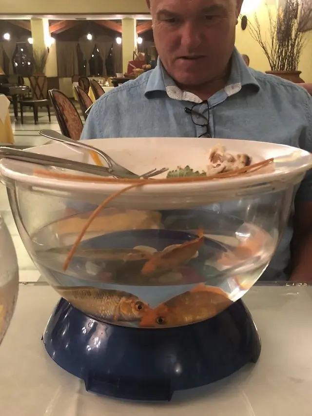 Potret Wadah Makanan Ini Nyeleneh Abis, Bikin Emosi