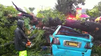  Sebuah mobil angkutan kota (angkot) tertimpa pohon besar di Makassar