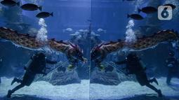 Aksi treatrikal Liong bawah air di Jakarta Aquarium & Safari (JAQS), Jakarta, Kamis (27/1/2022). Kegiatan dalam rangka memeriahkan Tahun Baru Imlek dan menjadi tujuan liburan akhir pekan panjang di dalam kota Jakarta yang aman dan nyaman. (Liputan6.com/Faizal Fanani)