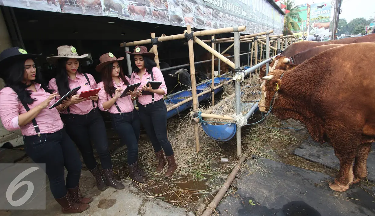 SPG mendata hewan kurban yang dijual di Mal Hewan Qurban H. Doni, Kelapa Dua Depok, Jawa Barat, Senin (29/8). Keberadaan SPG cantik ini menjadi daya tarik tersendiri. (Liputan6.com/Immanuel Antonius)