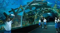 Berkeliling di akurium terbesar di dunia, S.E.A. Aquarium di Resorts World Sentosa. Sumber foto: www.rwsentosa.com.