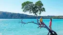 Dalam akun Instagram miliknya, Titi Kamal sangat mengagumi keindahan alam yang dimiliki Indonesia bagian timur ini. Christian dan Titi terlihat sedang memanjat pohon dengan berpose untuk berfoto di pantai Oeseli Rote, Nusa Tenggara Timur. (Liputan6.com/titi_kamall)