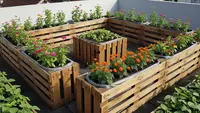 Tips Menanam Sayuran Mini di Rooftop Agar Tidak Cepat Kering dan Tetap Subur