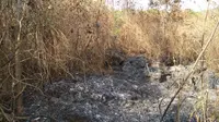 Sekitar 112,98 hektare lahan di lereng Gunung Ciremai sebelumnya hangus terbakar. Meski begitu, Gunung Ciremai tetap terbuka bagi pendaki. (Liputan6.com/Panji Prayitno)