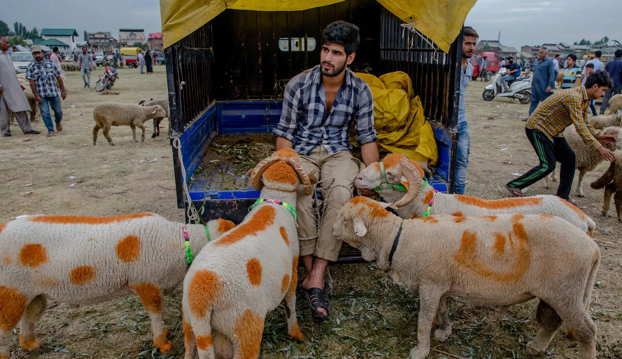 Seorang pedagang menunggu pembeli di sebuah pasar di Srinagar, Kashmir, India (30/8). Umat Muslim dari seluruh dunia sedang mempersiapkan menyambut Idul Adha 1438 H. (AP Photo / Dar Yasin)