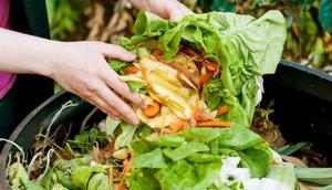Mengurangi Limbah Makanan untuk Menjaga Ketahanan Pangan. foto: istimewa