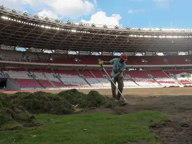 Pekerja melakukan pengerjaan revitalisasi rumput lapangan di Stadion Utama Gelora Bung Karno (SUGBK), Jakarta, Rabu (26/6/2024). (Liputan6.com/Herman Zakharia)