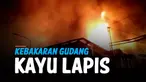 kayu lapis thumbnail