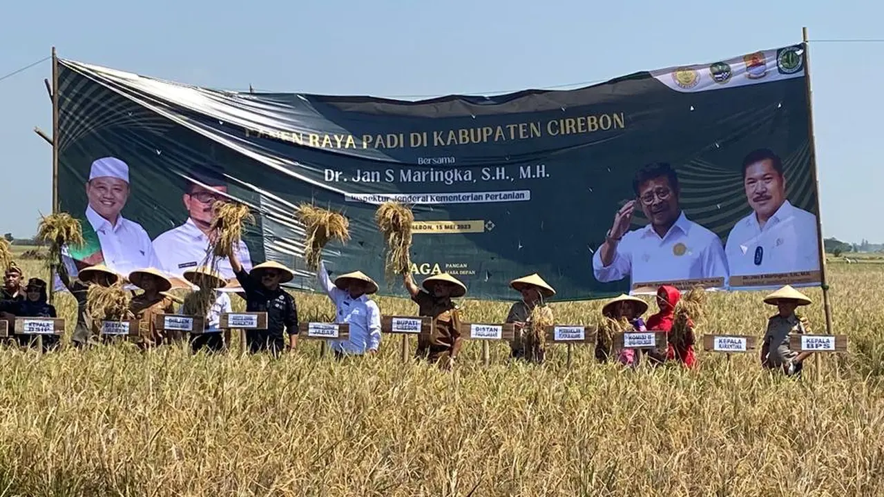 Irjen Kementan Kawal Panen Raya di Cirebon Guna Pastikan Ketersediaan Pangan Aman