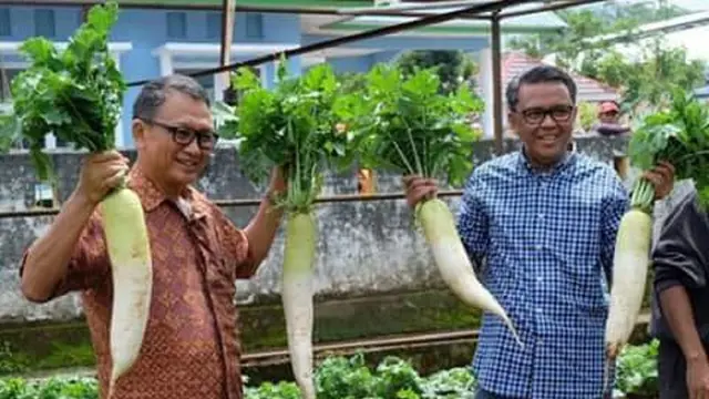 Nurdin Abdullah pamer hasil pertanian di Kabupaten Bantaeng, Sulsel (Liputan6.com/ Eka Hakim)